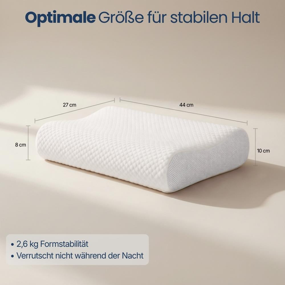 BellyDreams™ AirGrid